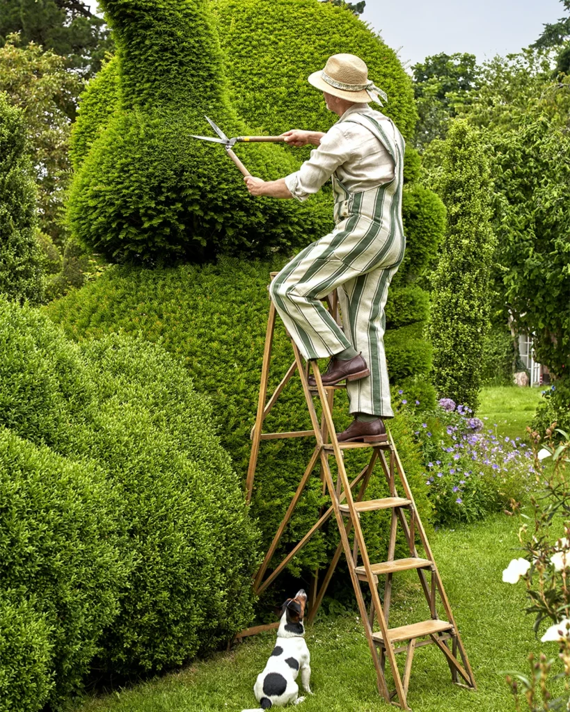 CC Pont Stripe, photo by Simon Brown Photography, styling by Katrin Cargill